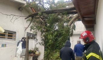 DESTROZOS POR EL TEMPORAL: CONTINAN LOS TRABAJOS DE EMERGENCIA